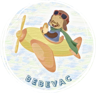 bébévac location de siège auto