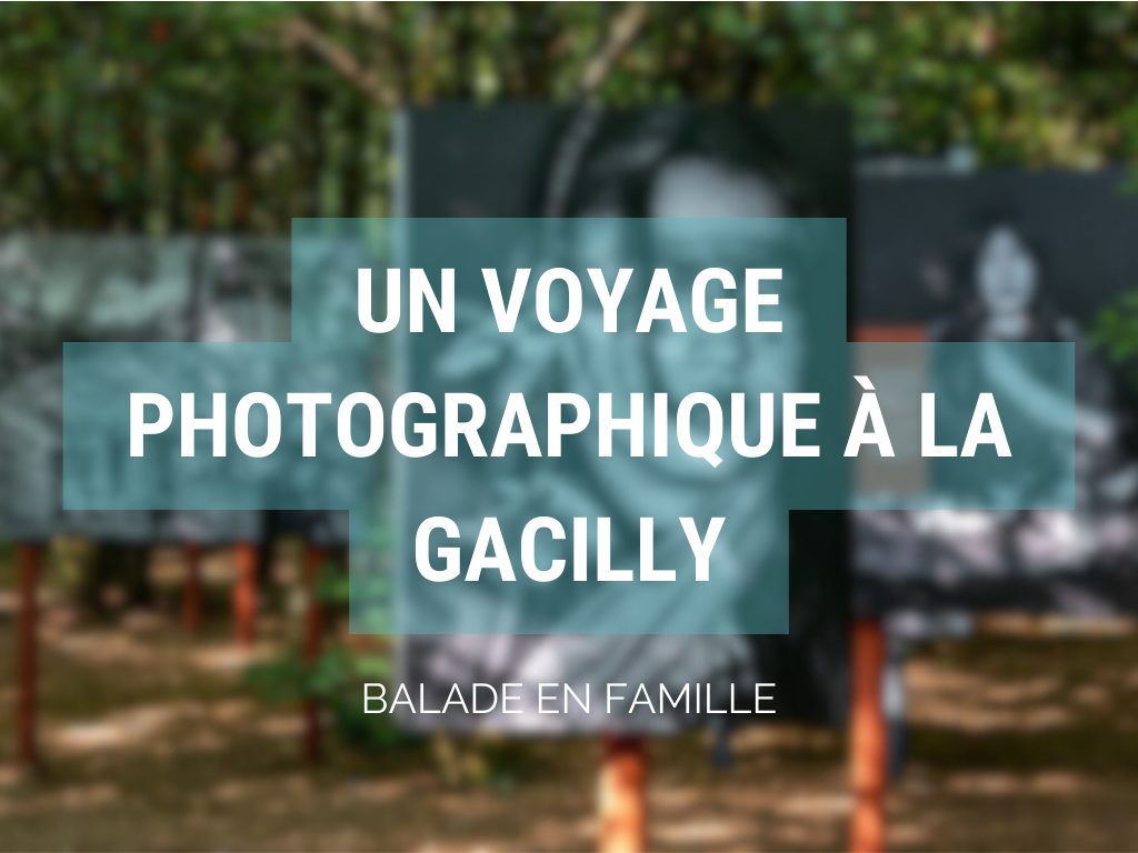Lire la suite à propos de l’article Un voyage photographique à La Gacilly : Explorez l&rsquo;art en plein air